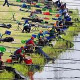 horgászverseny
